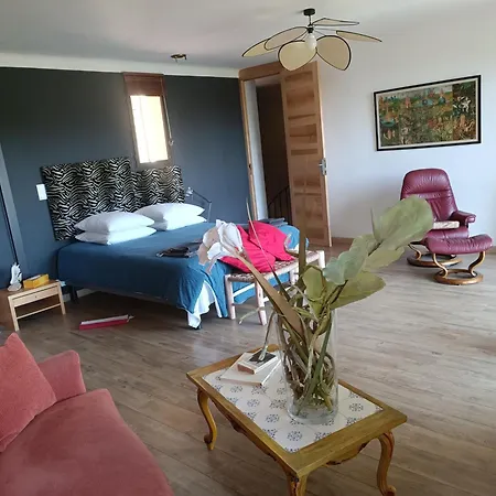 Provencale Et Ses Grands Pins Villa