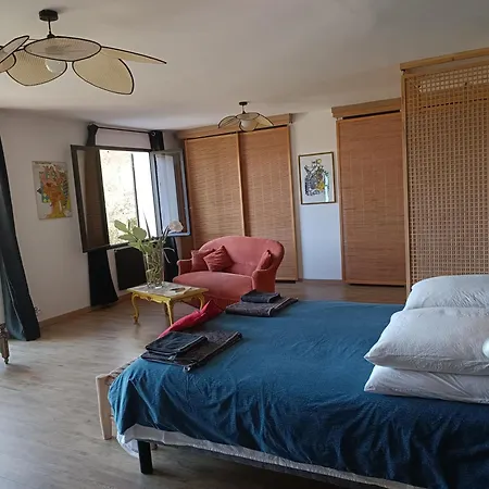 Villa Provencale Et Ses Grands Pins
