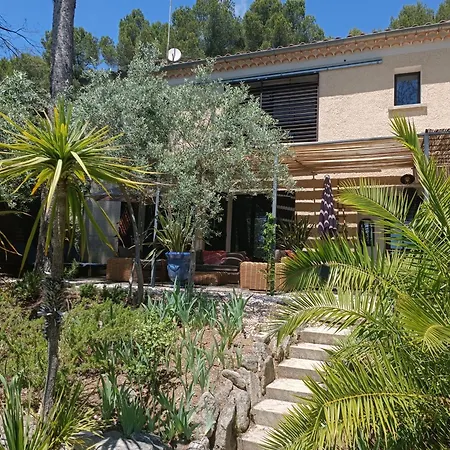 Provencale Et Ses Grands Pins *